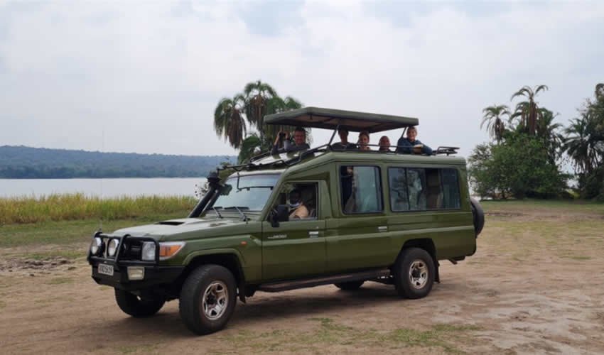 Safari car service